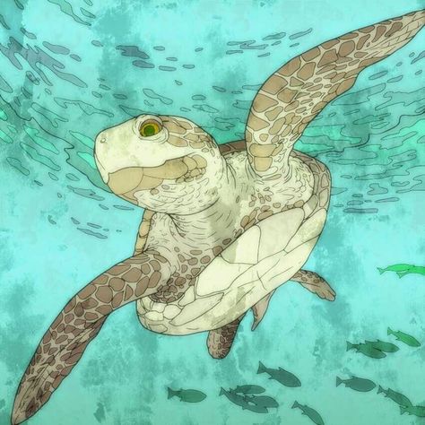 Turtle In Water Drawing, Turtle In Ocean Drawing, Sea Turtle Hatching Drawing, Turtle In Water Painting, Turtle In The Ocean Painting, Beach Drawing, Turtle Drawing, Fishing Room, Life Aquatic