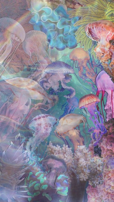 jellyfish Jellyfish Wallpaper, Marine Life, Jellyfish, Sea Creatures, Your Aesthetic, Abstract Painting, Energy