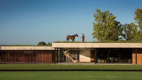 Nacho Figeueras’s polo stables in Argentina, designed by Estudio Ramos.Photo: Daniel MacAdden Nacho Figueras, Barcelona Pavilion, Stables Design, Van Der Rohe, Landscaping Company, Horse Stables, Mies Van Der Rohe, Higher Design, Horse Pictures