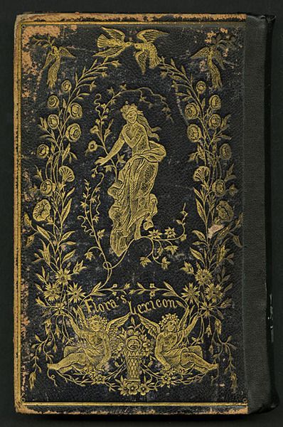 Stunning cover. ~ETS #antiquebooks Illustration Art Nouveau, Gold Book, Ancient Books, Vintage Book Covers, Beautiful Book Covers, Book Cover Art, Old Book, Old Books, Ravenclaw