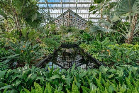 Underrated things to do in Chicago Garfield Park Conservatory, Architecture Foundation, Things To Do In Chicago, Chicago History Museum, Lincoln Park Zoo, Grant Park, Longwood Gardens, Chicago River, Chicago Architecture