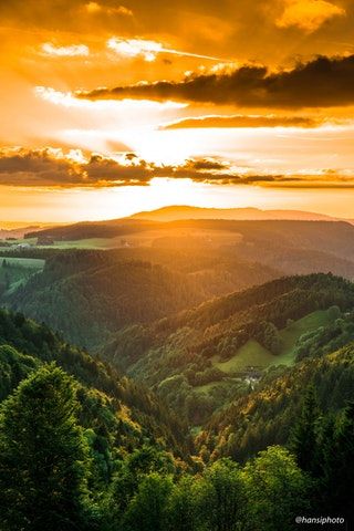 Golden Hour in the Black Forest. Southern Germany [OC][4000x6000] : EarthPorn Golden Hour Scenery, Black Forest Germany Photography, Golden Hour Landscape, Golden Hour Nature, Sunset In The Forest, Spell Protection, Hex Removal, Voodoo Spell, Black Forest Germany