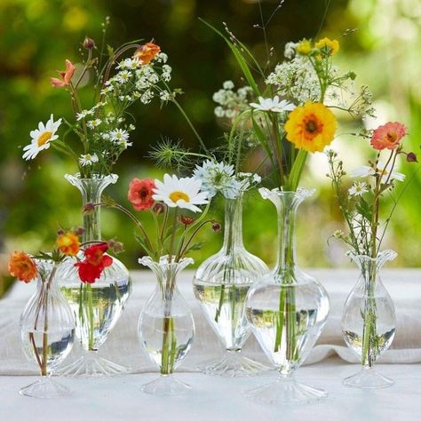 Bud Vases Wedding, Bud Vase Centerpiece, Wildflower Centerpieces, Flowers At Home, Vases Wedding, Glass Bud Vase, Venue Decorations, Wedding Vases, Vase Flower