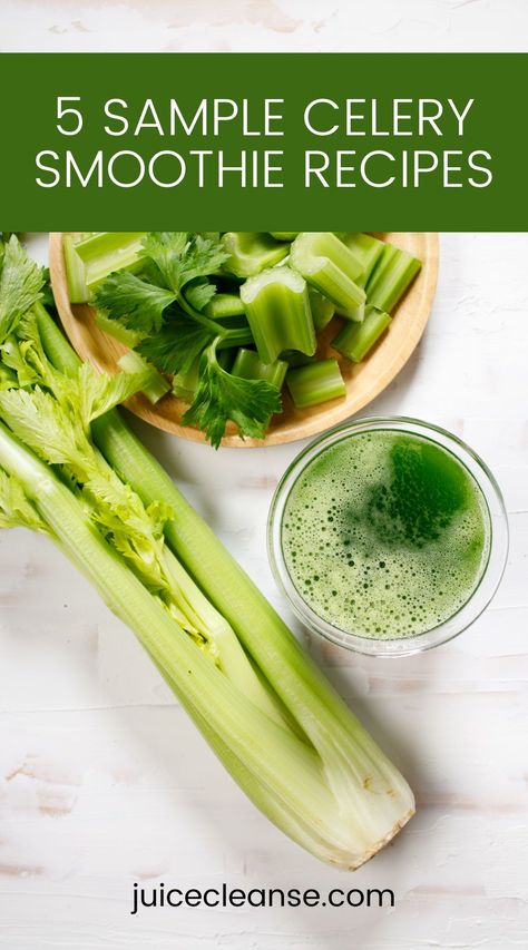 best celery smoothie recipes | Why are celery smoothies good for you | Is a celery smoothie as good as juice | Are celery leaves good in smoothies | Green Detox Smoothie Recipe Celery Smoothie Recipes, Celery Smoothie, Celery Leaves, Smoothies Green, Celery Recipes, Healthy Nutrition Plan, Green Detox Smoothie, Detox Smoothie Recipes, Lean Belly Juice