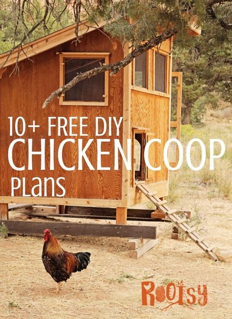 Building A Chicken Coop Cheap, Simple Walk In Chicken Coop, Small Garden With Chicken Coop, Simple Coop Plans, Large Diy Chicken Coop, Free Chicken Coop Plans Easy, Diy Walk In Chicken Coop Plans, Chicken House Ideas Buildings Simple, Simple Diy Chicken Coop Plans