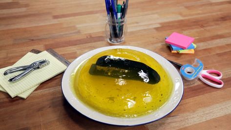 Stapler in Jello Prank Stapler In Jello, How To Make Jello, Lemon Jello, April Fools Pranks, Plastic Bowls, April Fools, Serving Plates, Cooking Time, Party Planning