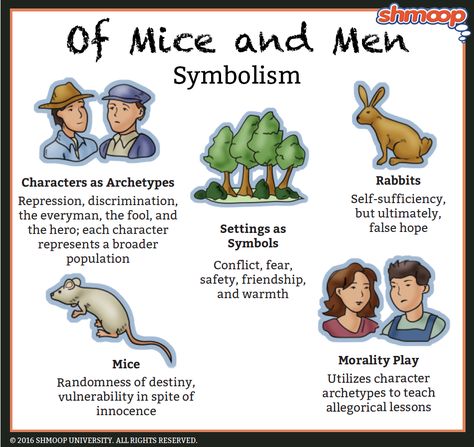 Mice And Men Quotes, English Literature Notes, Gcse English Literature, Character Symbols, Mice And Men, Character Types, Character Analysis, Animal Character, Character And Setting