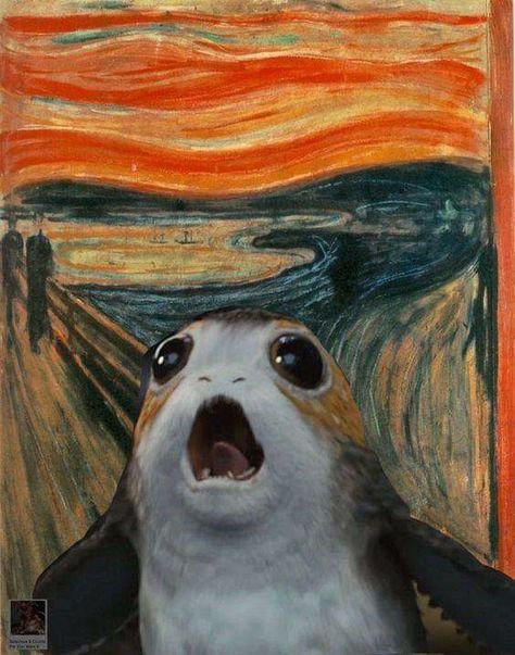 Porgs Star Wars, Porg Starwars, Porg Star Wars, 1366x768 Wallpaper Hd, Funny Star Wars Memes, Star Wars Bb8, Classic Star Wars, Star Wars Facts, The Scream