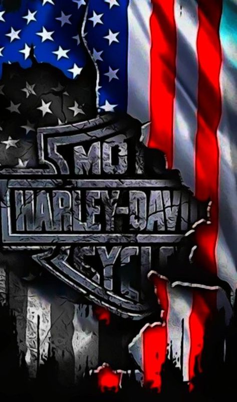 Bikers Wallpaper, Harley Davidson Background, Harley Davidson 4th Of July, Harley Davidson Eagle Logo, Harley Davidson Skull Logo, Harley Davidson Kunst, Harley Davidson American Flag, Motorcycles Logo Design, Harley Davidson Decals