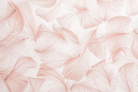 Fondo de textura de plumas de color rosa... | Premium Photo #Freepik #photo #suave #fondo-suave #textura-pastel #textura-naturaleza Color Rosa, Premium Photo, Abstract Artwork, Pastel, Wonder, Color