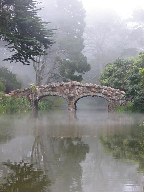 Stone bridge Old Bridges, Foggy Day, Stone Bridge, Golden Gate Park, Covered Bridges, Golden Gate, Beautiful World, In The Middle, Beautiful Nature