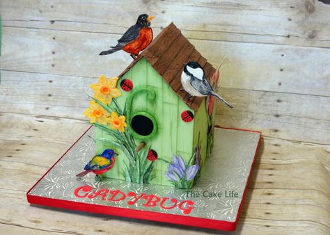 Bird house cake Bird Cage Cake, Birthday Cake For Mom, Dad Birthday Cakes, Painted Birds, Garden Cakes, Bird Party, Bird Cakes, Sculpted Cakes, Spring Cake