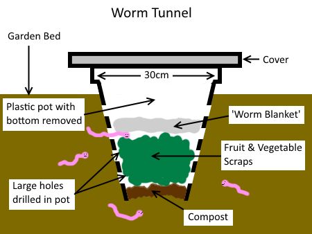 Worm Farm Diy, Small Compost Bin, Worm Bins, Red Wigglers, Worm Farming, Farm Diy, Worm Bin, Diy Compost, Vegetable Scraps