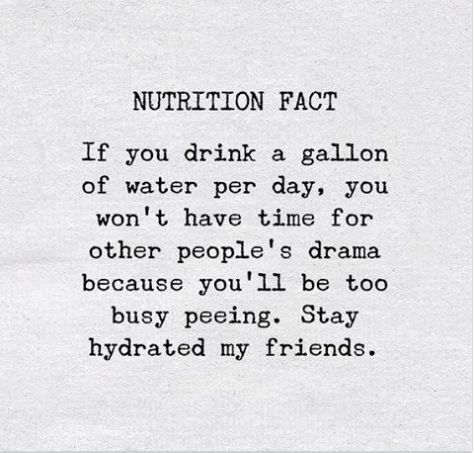 If you drink a gallon of water per day, you won't have time for other people's drama... Hydrate Quotes, Hydration Quote, Drink Water Quotes, Christmas Essay, Water Quotes, Stay Hydrated, Reality Quotes, Best Funny Pictures, Inspirational Quotes Motivation