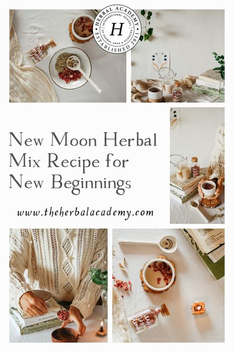 New Moon Herbal Mix Recipe for New Beginnings | Herbal Academy | This article will discuss the energy of the New Moon and how to support yourself with herbs during this internal time in the lunar cycle. Beginning Herbalism, New Moon Tea, Moon Food, New Moon Ritual, New Moon Phase, Herbal Academy, Moon Milk, Lunar Magic, Botanics Skin Care