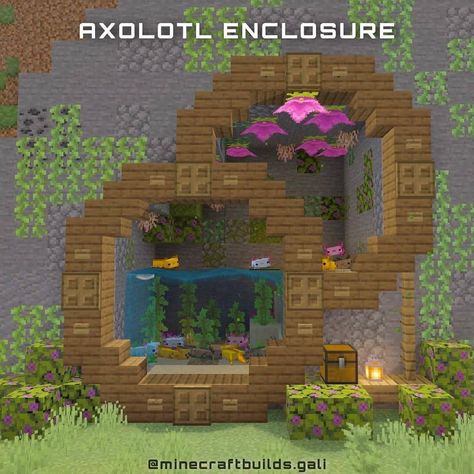 Minecraft Builds & Modeling on Instagram: “Axolotl enclosure Credit by: @minecraftbuilds.gali gali - Comment what you think 💬 - Like & share with your friends 👫👬   Follow:…” Minecraft World Layout Ideas, Cute Minecraft Animal Pen Ideas, Minecraft Watermelon Build, Minecraft One Block Ideas, Bat Enclosure Minecraft, Lava Pool Minecraft, Flower Shops Minecraft, Strawberry Shortcake House Minecraft, Cute Minecraft Pond Ideas