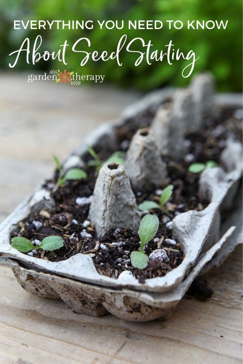 Seed Starting Mix, Starting A Vegetable Garden, Starting Seeds Indoors, Veg Garden, Home Vegetable Garden, Gardening Advice, Olive Garden, Beltane, Planting Vegetables