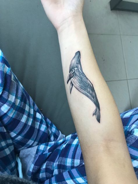 Proud new owner of a Hump back whale Hump Back, I Tattoo, Body Art, Piercings, Tattoos, Art