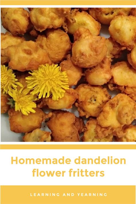 Dandelion flowers, leaves and roots are all edible, and perfect for Dandelion Flower Fritters and other wonderful treats. #dandelion #foraging #wildcrafting #recipe #natural #homesteading #realfood Dandelion Foraging, Preparedness Ideas, Witch Recipes, Edible Flowers Recipes, Wild Food Foraging, Dandelion Flowers, Foraging Recipes, Foraged Food, Medicinal Herb