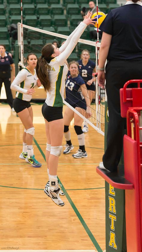 Volleyball Women, Varsity Volleyball, Varsity Blues, Volleyball Photography, Indoor Volleyball, Volleyball Photos, Volleyball Poses, Volleyball Inspiration, Volleyball Tips