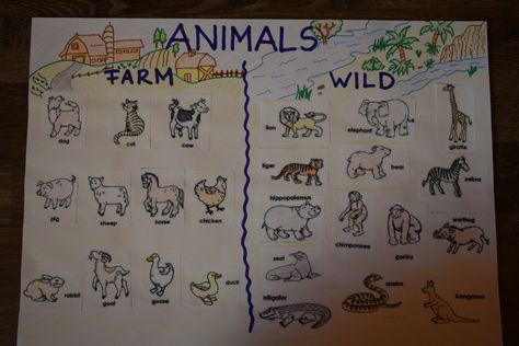 Farm and wild animals anchor chart Wild Animals Chart Preschool, Animals Anchor Chart, Excel Ideas, Animal Chart, Daycare Projects, Animals Activities, Farm Animals Activities, Animal Activities For Kids, Animal Worksheets