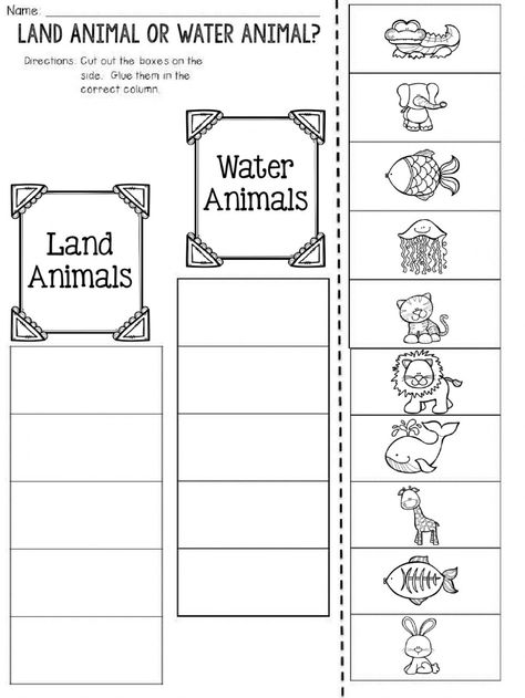 Animals online worksheet for 1. You can do the exercises online or download the worksheet as pdf. Land And Sea Animals Preschool, Sorting Animals Worksheet, Sorting Worksheet For Grade 1, Needs Of Animals Worksheet, Classifying Animals Activities, Land Water Air Animals Worksheet, Land And Water Animals Worksheet, Animal English Worksheet, Land Animals Worksheet