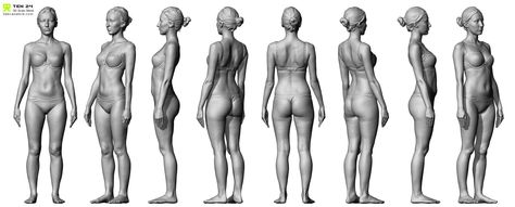 Body scan http://www.3dscanstore.com/index.php/default/ Human Anatomy Reference, 3d Anatomy, Female Anatomy Reference, Anatomy Sculpture, Anatomy Models, Human Body Anatomy, Body Drawing Tutorial, Female Reference, Body Reference Drawing