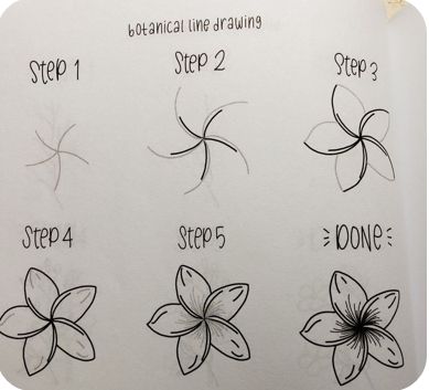 #notmine #drawing #stepbystepdrawing #flowers Stick Flowers Drawing, Plumeria Drawing Step By Step, Easy Drawings Sketches Flowers, Simple Drawing Tutorial Step By Step, Journal Flowers Doodles, Easy Drawings Sketches Step By Step, Draw A Flower Step By Step, Drawing Ideas Flowers Easy, Flower Sketches Easy