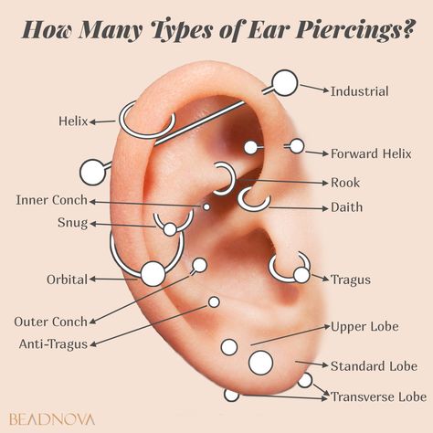 How Many Types of Ear Piercings? Click to find out more. Ear Piercing Pain Chart, Pierce Hawthorne, Piercing Pain Chart, Piercing No Rosto, Types Of Body Piercings, Piercings Belly Button, Piercing Names, Tongue Web Piercing, Frenulum Piercing