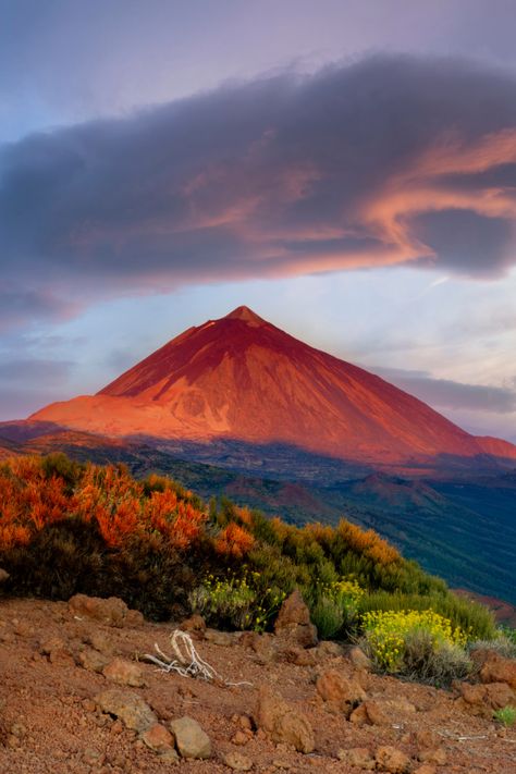 Cualquier fotografía que captures del Teide, será una instantánea que te va a encantar. Es un lugar mágico. Tenerife Aesthetic, Canarian Islands, Holidays In Spain, Tenerife Spain, Teneriffe, Canary Islands Spain, Cheap Flight, Cheap Flight Tickets, Spain Holidays