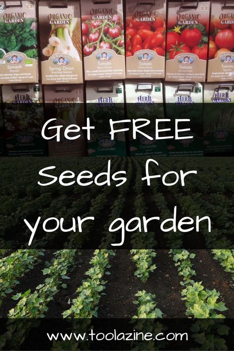 Get free seeds for your garden #gardening #free #seeds #plant Frugal Gardening, Free Seeds, Seedlings Indoors, Vegetable Garden Diy, Recycled Garden, Container Gardening Vegetables, Home Vegetable Garden, Garden Containers, Food Garden