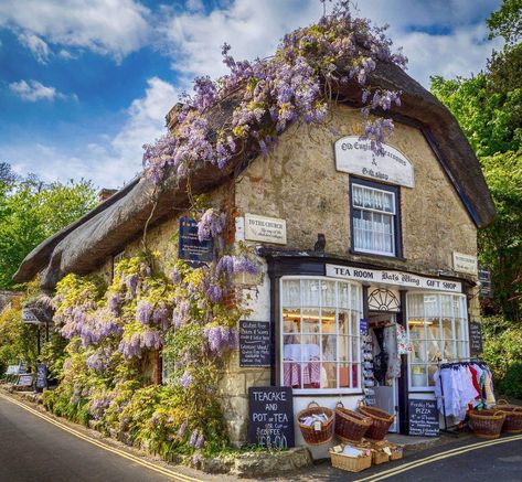 16th century thatched tea room, Godshill, Isle of Wight, England British Villages, Isle Of Wight England, England Vacation, British Cottage, Village Square, English Cottages, Storefront Signs, British Architecture, English Village