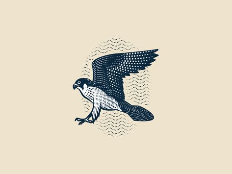 Peregrine Falcon Tattoo Traditional, Peregrine Falcon Illustration, Falcon Tattoo Design, Falcon Sketch, Falcon Illustration, Hawk Illustration, Bird Of Prey Tattoo, Peter Voth, Falcon Tattoo