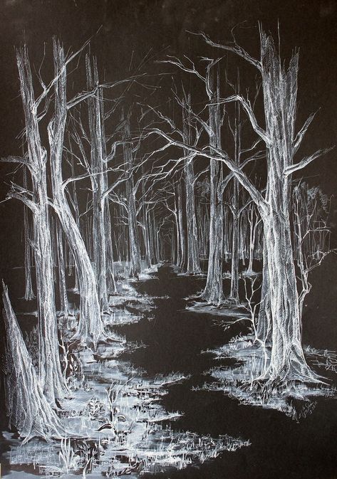 Scracht Art Drawing, Scracht Art, Black Background White Drawing, White Sketch On Black Paper, White On Black Art, White Charcoal On Black Paper, Charcoal On Black Paper, Skulls Animal, How To Draw Trees