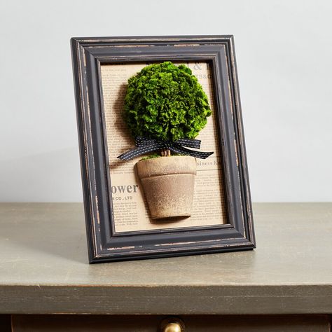 Moss Picture Frame, Mini Topiary, Moss Decorations, Tabletop Topiary, Moss Decor, Decorative Plaques, Moss Wall Art, Moss Art, Preserved Moss