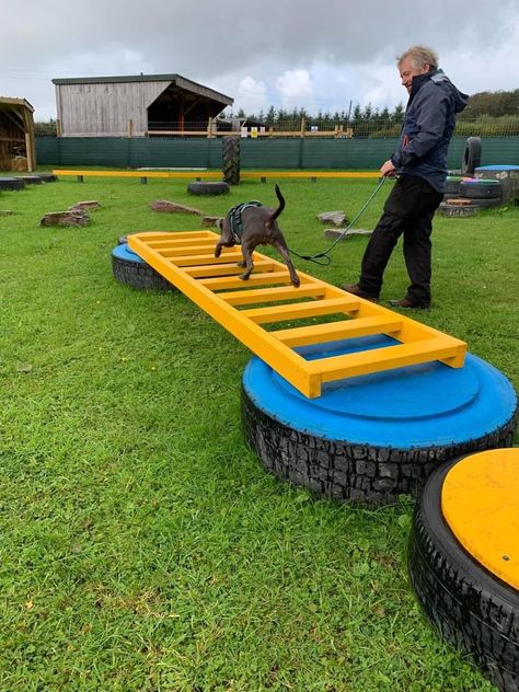 Dog Playground Diy, Sniffspot Ideas, Diy Dog Obstacle Course, Dog Obstacle Course Diy, Dog Playground Backyard Diy, Obstacle Course For Dogs, Diy Dog Park, Dog Playground Backyard, Dog Park Ideas