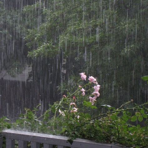 Rainy Day Aesthetic, I Love Rain, Theme Nature, Love Rain, Sound Of Rain, Spring Aesthetic, Slice Of Life, Nature Aesthetic, Pretty Places