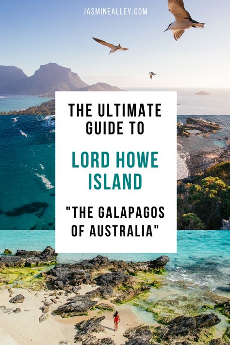 Here's my ultimate guide to Lord Howe Island, Australia. This island deserves to be on your Australia travel list! Off the coast of Sydney you'll find a Lonely Planet-rated UNESCO world heritage site that is one of the most beautiful places in Australia! Perfect for an Australia honeymoon or Australia vacation. Here are 30 things to do on Lord Howe Island that show why it's bucket list worthy, from animals and marine life to amazing photography and beaches #bucketlist #australiatravel #australia Honeymoon Australia, Funny Airport Signs, Airport Signs, Australia Backpacking, Australia Vacation, Travel Secrets, Australian Beach, Visit Places, Oceania Travel