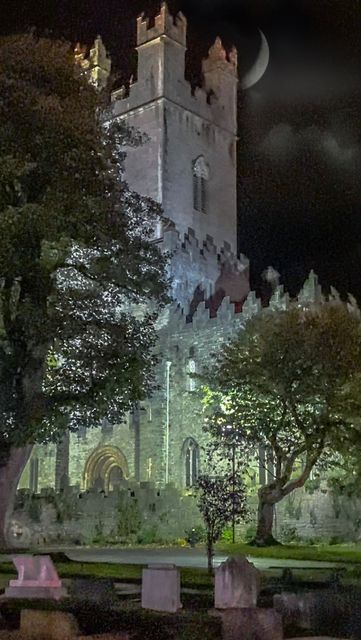 🌿Heather🌙 🇺🇸 ➤ 🇮🇪 on Instagram: "✨Unbelievable first Samhain/Halloween weekend as a resident of Ireland. 🎃☘️🥹 🍂Who’s coming to visit me for Halloween 2023?🎃😄 🕯shoutout to the @lumenstreettheatre for the stunning Samhain parade!🎃 // #limerickhalloweenfestival #limerick #americaninireland #expatlife #internationaltravel #samhain #samhainblessings #irelandtravel" Ireland Pictures, Ireland Photography, Samhain Halloween, Expat Life, Halloween 2023, Halloween Festival, Ireland Travel, Samhain, Napa Valley