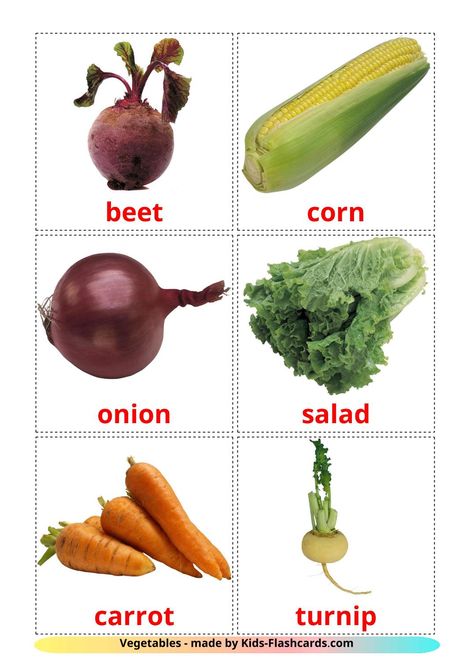 29 Free Vegetables Flashcards in english (PDF files) Vegetables Flashcards For Kids, Vegetables Flashcards, Flower Drawing For Kids, Turnip Vegetable, Food Flashcards, English Flashcards, Flashcards For Toddlers, Montessori Printables, Kids Vegetables