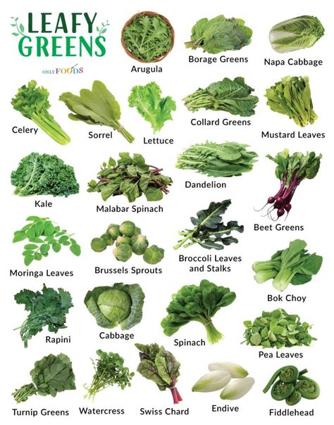 Green Vegetables List, Vegetables List, Broccoli Leaves, Leafy Green Vegetables, Vegetable Chart, Green Leafy Vegetables, Malabar Spinach, Vegetable Coloring Pages, List Of Names