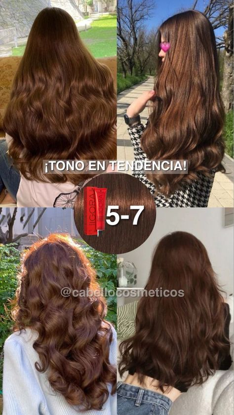 Igora Royal Chocolate Brown, Medium Mahogany Brown Hair, Coper Hairstyles Color, Latina Brown Hair, Brunette Chocolate Hair, Pelo Color Chocolate, Rubio Chocolate, Hair Colors 2024, Brown Chocolate Hair