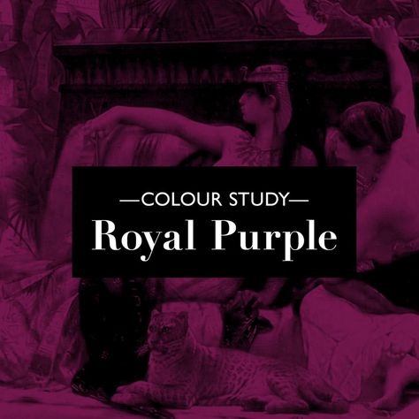 Royal/Tyrian Purple: The famous one — Alexa Guse Tyrian Purple, French Verbs, Visual Communication Design, Purple Dye, Wearing Purple, Favourite Colour, Color Studies, Communication Design, Visual Communication