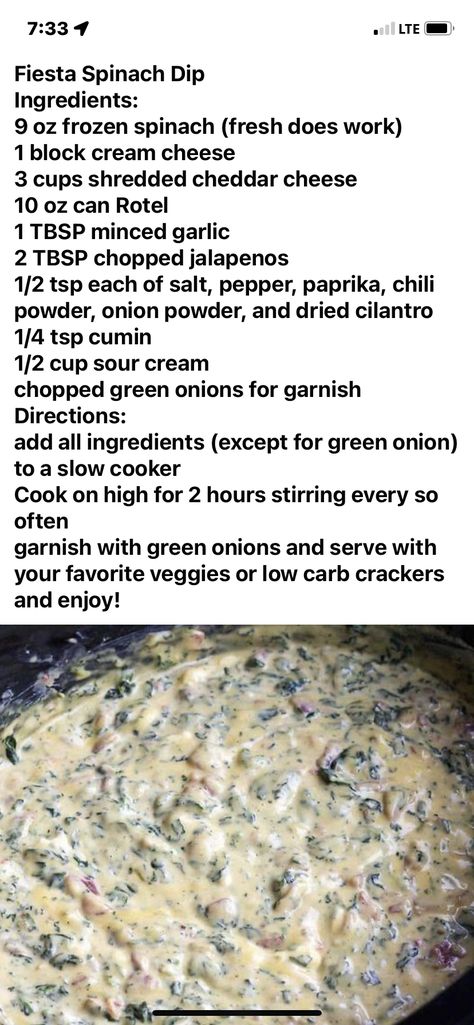 Rotel Cheese Dip, Rotel Dip, Low Carb Crackers, Drying Cilantro, Crock Pot Dips, Spinach Dip, Frozen Spinach, Cheese Dip, Spinach Stuffed Chicken