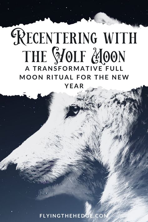 Full Wolf Moon Spells, Wolf Full Moon Ritual, January Witchcraft, Wolf Moon Ritual, Earth Spirituality, Moon Ceremony, Full Moon Eclipse, What Is Spirituality, The Winds Of Winter