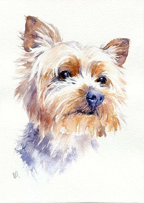 yorkshire terrier dog portrait | original watercolour pet painting - Yorkshire Terrier dog portrait Yorkie Painting, Tatoo Dog, Watercolor Paintings Of Animals, Best Dog Toys, 강아지 그림, 수채화 그림, White Dog, Watercolor Dog, Dog Drawing