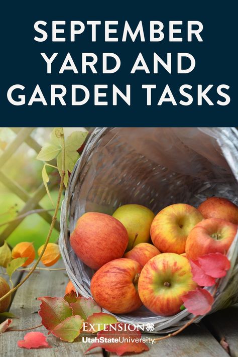 Checklist for September Yard and Garden Tasks September Yard Work, Fall Planting Guide, Fall Flowers Garden, How To Store Potatoes, Lawn Fertilizer, Fall Vegetables, Seed Saving, Grass Seed, Yard Work