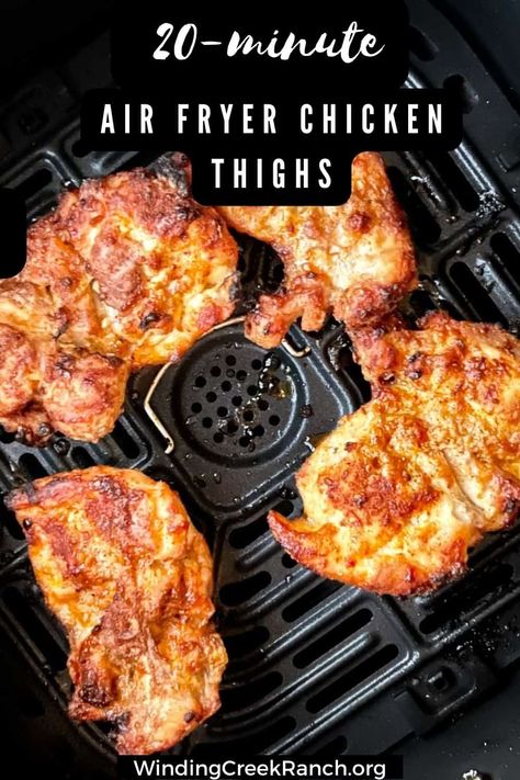 Fried Chicken Thighs Boneless, Air Fryer Boneless Skinless Chicken, Air Fryer Recipes Chicken Thighs, Royal Recipe, Air Fryer Chicken Thighs, Cooks Air Fryer, Air Fried Food, Air Fry Recipes, Boneless Chicken Thigh Recipes