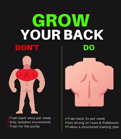 Gym Knowledge, Back Muscles Men, Exercises Back, Back Workout At Home, Leg Workouts Gym, Boxing Images, Gym Exercises, Sonic Videos, Workouts Gym