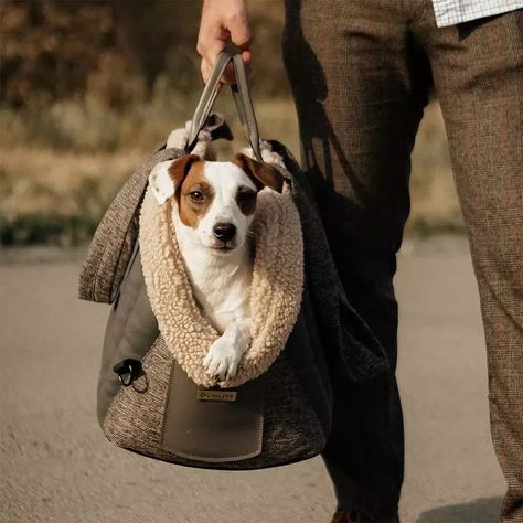 https://whisperia.shop/dog-carrier-car-seat-pearl-purse-owleys/ Pearl Purse, Storing Toys, Pet Supplies & Accessories, Dog Seat, Dog Car Seats, Dog Parents, Free Dogs, Dog Carrier, Pet Carriers